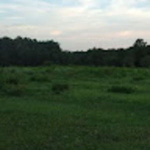 Meet your Posher, Keenan